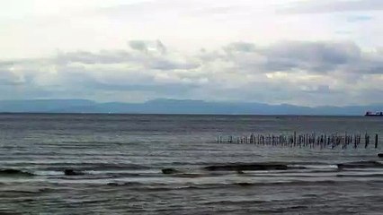 Cold Day on a Japanese Beach