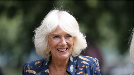GALA VIDEO - La revanche de Camilla Parker Bowles : de briseuse de mariage à future reine…