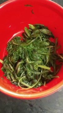 Spinach Bread | How to Make Spinach Bread | Rk food shorts