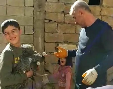 İKİ DUVAR ARASINDA SIKIŞAN TAVUKLAR İÇİN SEFERBER OLDULAR