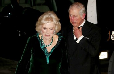 Prince Charles 'deeply conscious' of the honour of Queen Elizabeth's wish for 'darling wife' Camilla to become Queen Consort