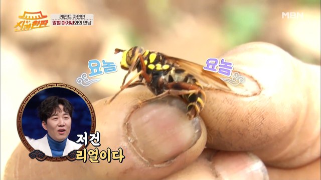 또 다른 레전드 자연인!! 말벌 아저씨X윤택.mp4