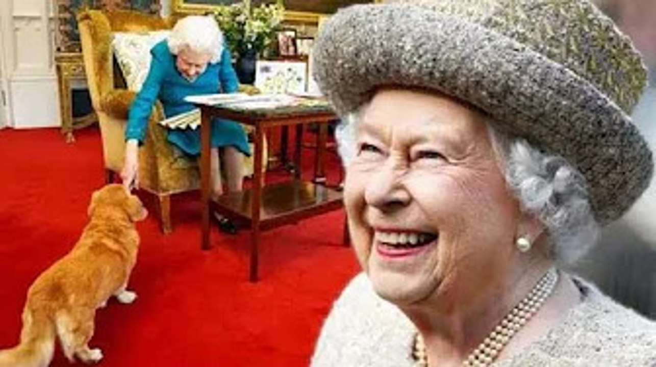 'Je sais ce que vous voulez!' La réponse hilarante de la reine après avoir été prise en embuscade pa