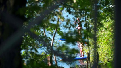 Alles voor Zweden 2022 04