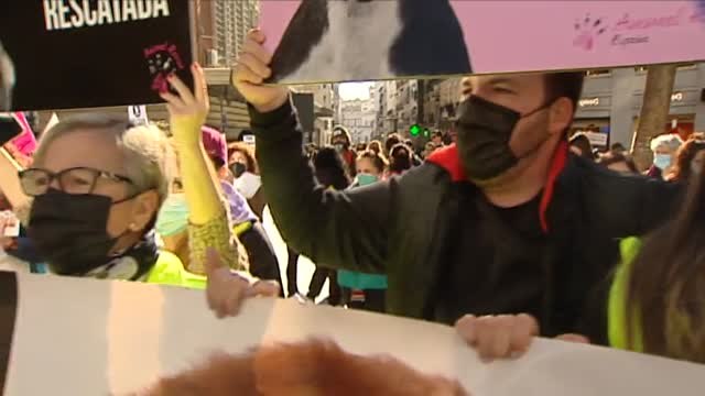 Cuarenta ciudades españolas acogen manifestaciones contra la caza