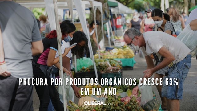 Procura por produtos orgânicos cresce 63% em um ano