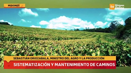 Sistematización y mantenimiento de caminos