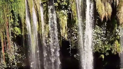 Relaxing Music & Rain Sound - beautiful piano music, Background Music, Sleep Music With Nature.