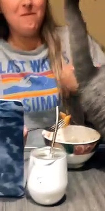 Rude Cat Disrupts Meal