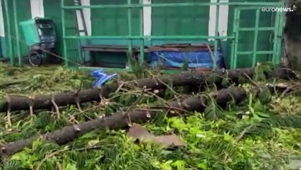 Madagascar cyclone claims lives and homes as winds batter the island