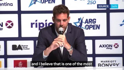 Emotional del Potro says retirement is likely
