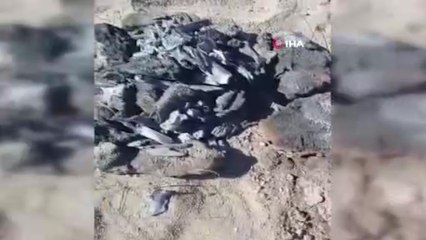 Meksika’da 50’den fazla cesedin bulunduğu toplu mezar bulundu