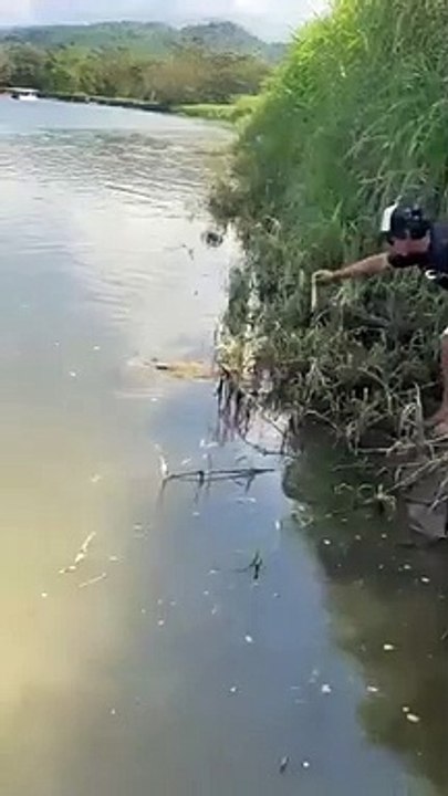 Un homme coincé face à un crocodile