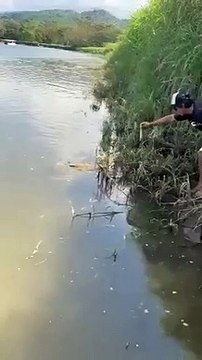 Un homme coincé face à un crocodile
