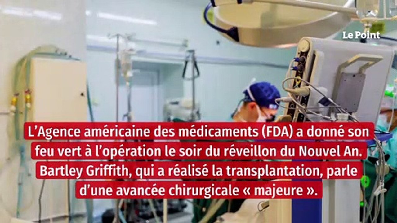 Etats Unis : un coeur de porc greffé avec succès sur un homme de 57 ans