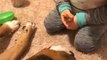 Little Girl Scolds Dog For Chewing Up Toys