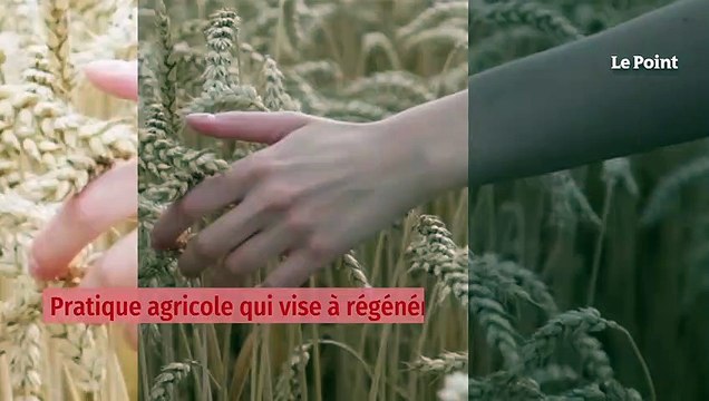 Pierre Rabhi, écrivain et figure de l’agroécologie, est mort