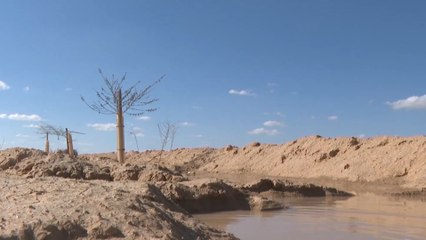 Скачать видео: مخطط إسرائيلي لتجريف أراضي الفلسطينيين في النقب