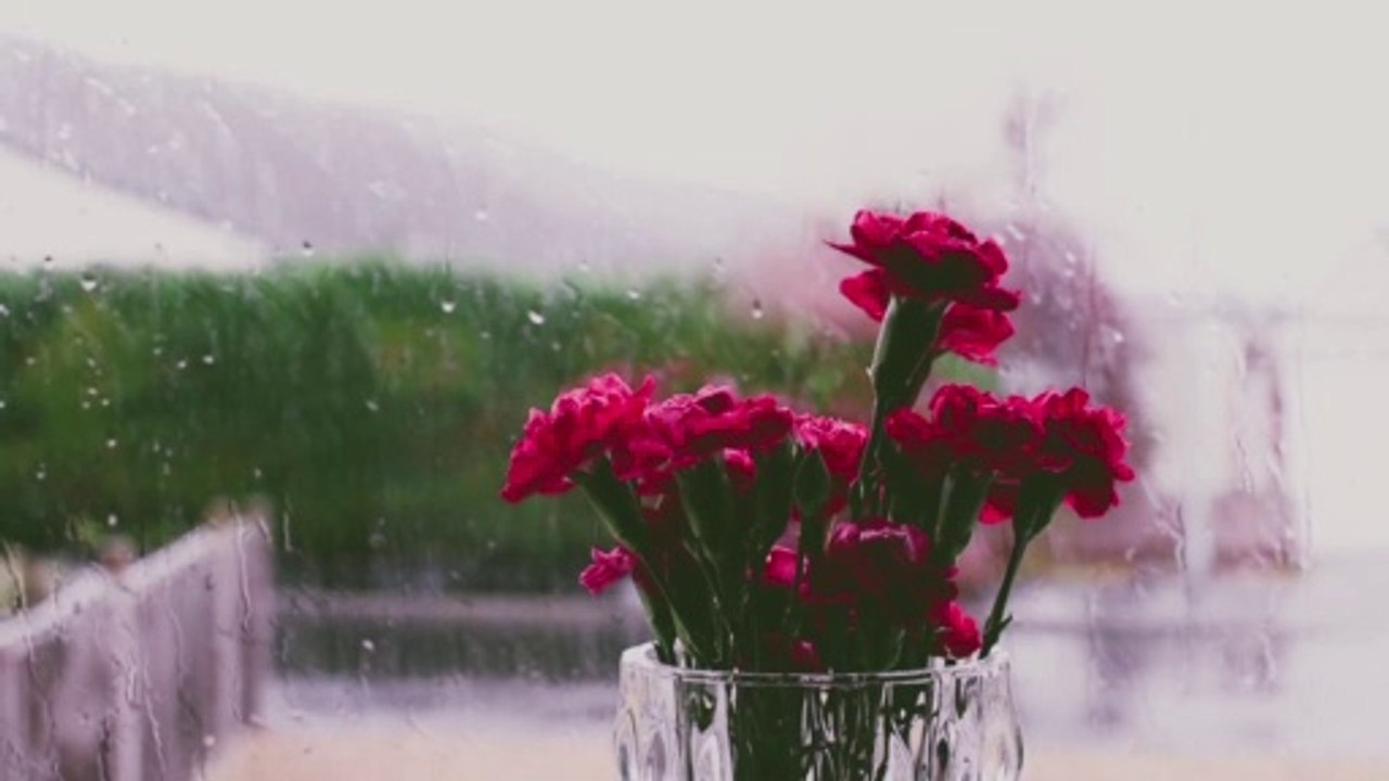STUNNING RAIN SOUNDS