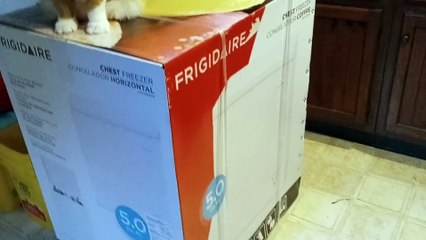 Bought Home Frigidaire Chest Freezer for Food Storage and Security