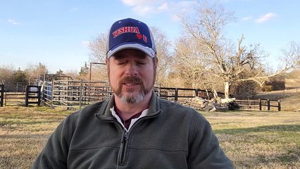 Strange Tidings from the Sea of Galilee in Matthew 8:28-34