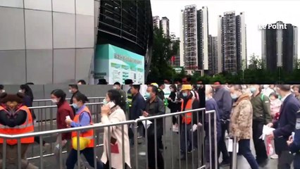Hongkong : des jets privés affrétés pour exfiltrer des animaux de compagnie