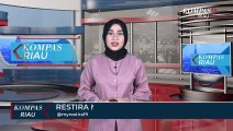 Damkar Evakuasi Ular Sanca Dari Dalam Rumah Warga