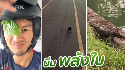 บีม พลังใบ โชว์สกิล สนทนากับนก-ตัวเงินตัวทอง ทักทายระยะประชิดกลางสวนลุมพินี