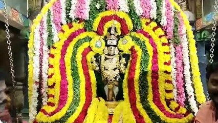 சூரியனார் கோவிலில் ரத சப்தமி விழா கோலாகலம் - சூரியபகவான் திருக்கல்யாணம்