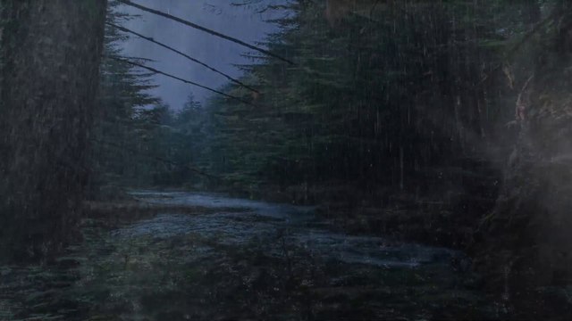 Heavy rain and strong thunder on the stream in the night forest - Beautiful landscape in the rainforest | Phile Rain