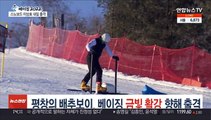 평창의 배추보이, 베이징 '금빛 활강' 향해 출격