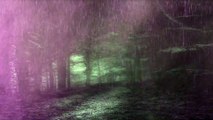 Pink rain in the forest - beautiful-landscape-in-the-rainforest-phile-rain