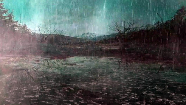 The rain falls by the night lake in the wild forest - Beautiful landscape in the rainforest | Phile Rain