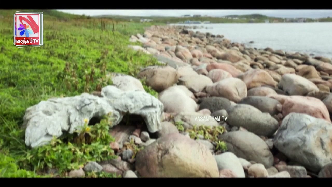 Tholluyir Thedal -  Vasantham TV (06-02-2022)