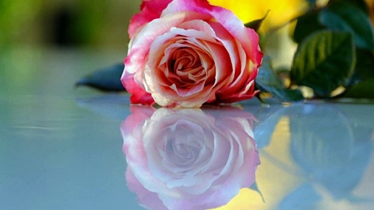 Alles Liebe zum Valentinstag