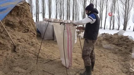 Hayvanları için, dondurucu soğukta saman çuvallıyorlar