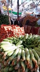 سوق الغردقة فاضي المصريين ملهمش نفس يشتروا بعد خسارة المنتخب: كان حلم وراح