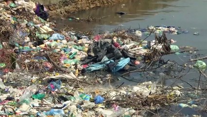 One Ocean Summit, una nueva oportunidad para abordar la delicada situación de los océanos
