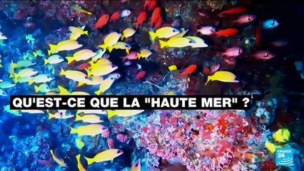 One Ocean Summit : qu'est-ce que la haute mer ?