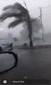 Storm lashes Tolland, footage by Luke Stevens | January 5 2022 | The Daily Advertiser