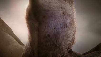 Hellblade - Gamescom Trailer