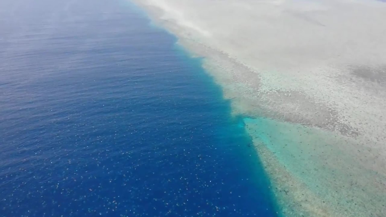 Green turtle rookery on Raine Island brought back from brink January