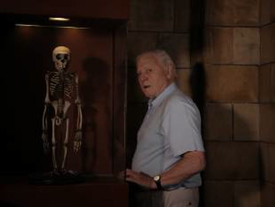 Natural History Museum Alive Home Ent Trailer video Dailymotion