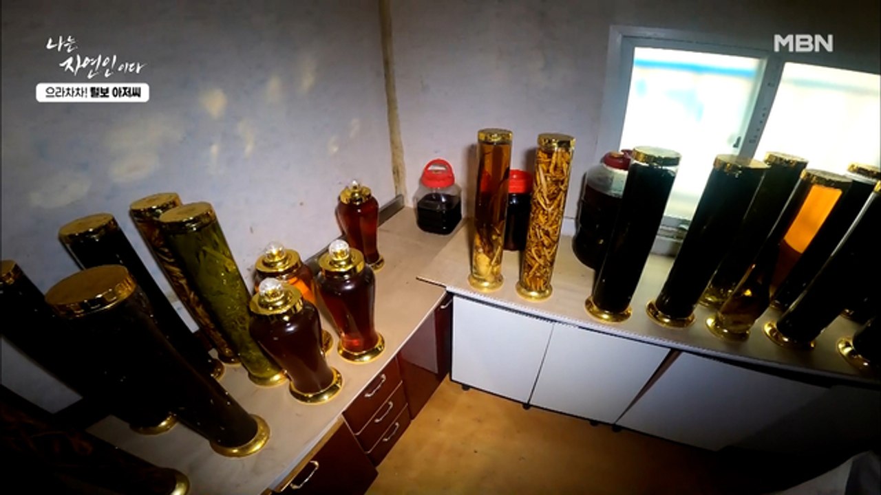 없는 게 없는 자연인 하우스! 산에서 채취한 약초로 담은 자연인 표 담금주!