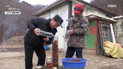 비주얼과 맛 모두 잡은 자연 재료 몽땅 때려 넣은 노박덩굴주♥
