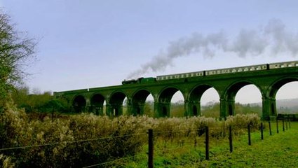 Nativity 3: Dude, Where's My Donkey? Exclusive UK Premiere Report