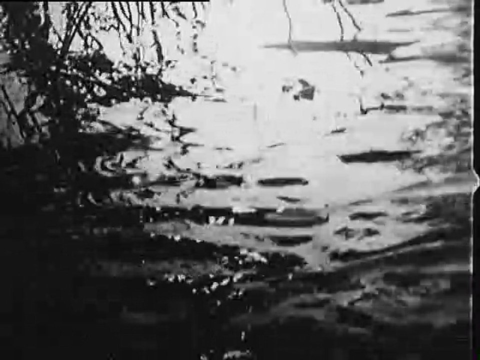 Les Fables de Starewitch d'après La Fontaine