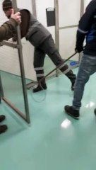 İddia: Sahipsiz köpekler barınaktan alınıp deney için kullanılıyor