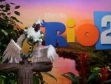 Rio 2: Exclusive Interview With Cast & Director