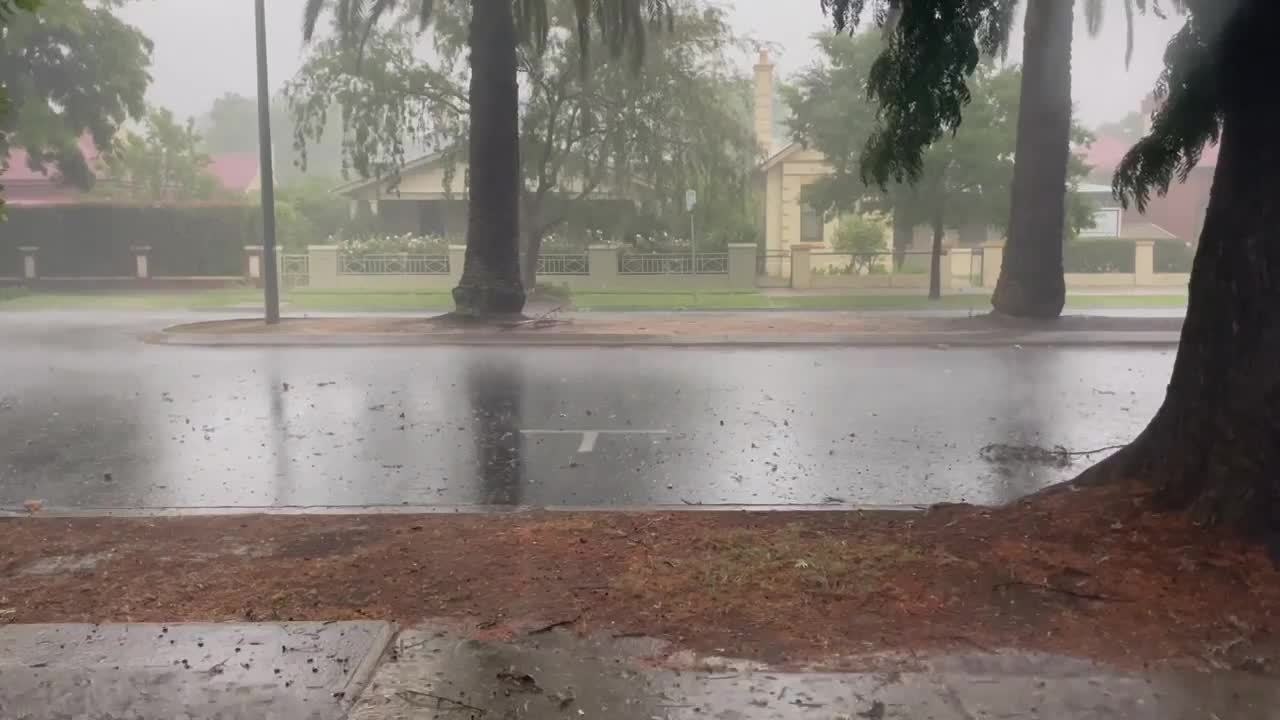 Storm hits Wagga | January 5 | The Daily Advertiser